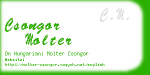 csongor molter business card